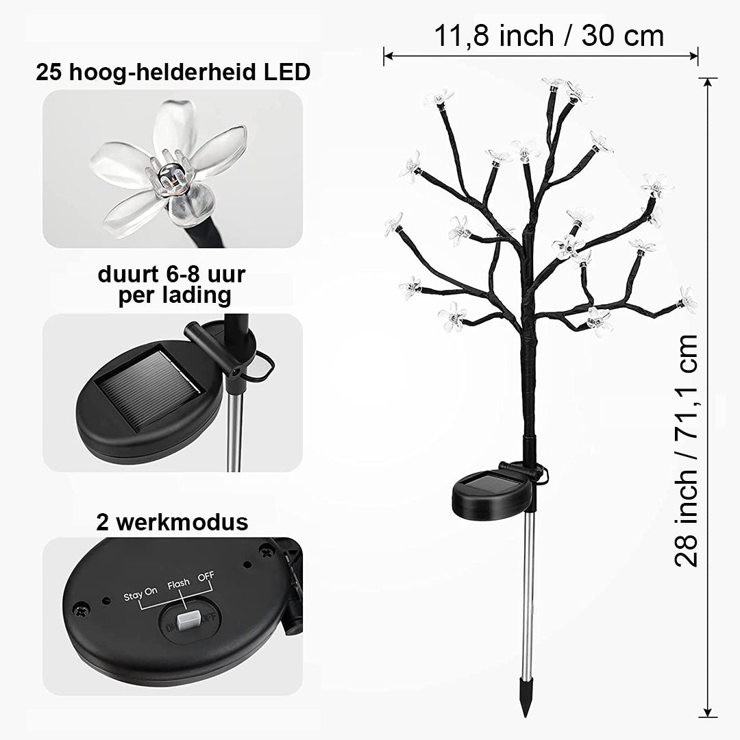 SunFlora | Verlichtende Elegantie