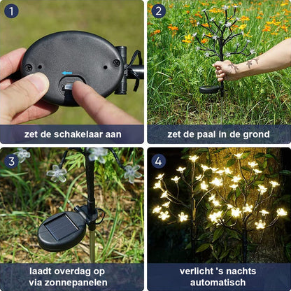 SunFlora | Verlichtende Elegantie